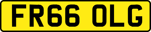 FR66OLG