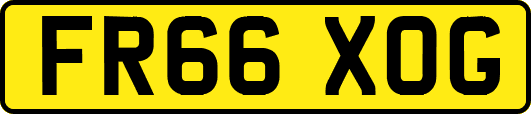 FR66XOG