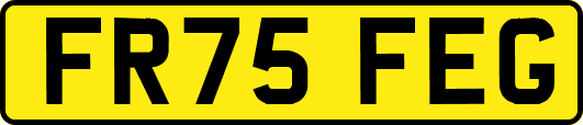 FR75FEG