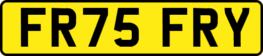 FR75FRY