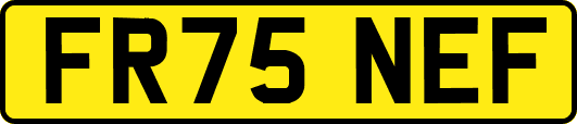 FR75NEF