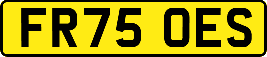 FR75OES
