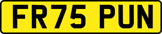 FR75PUN
