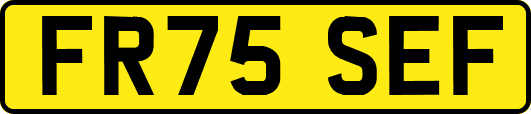 FR75SEF
