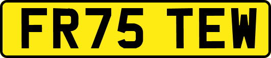 FR75TEW