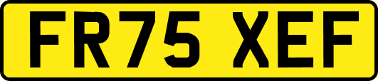 FR75XEF
