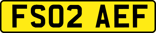 FS02AEF