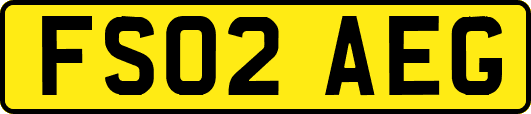 FS02AEG