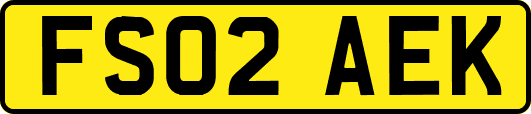 FS02AEK