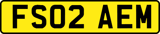 FS02AEM