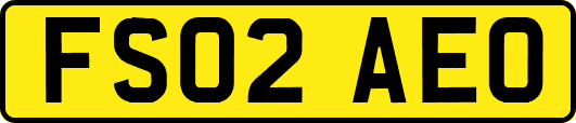 FS02AEO