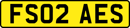 FS02AES