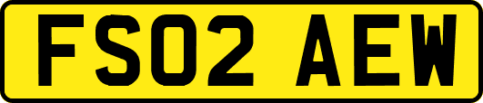 FS02AEW