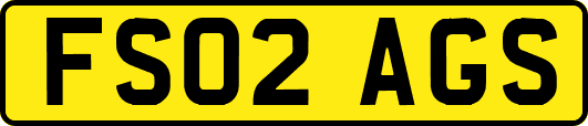 FS02AGS