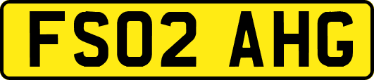 FS02AHG
