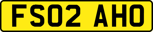 FS02AHO