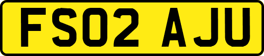 FS02AJU