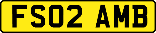 FS02AMB
