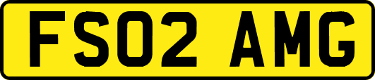 FS02AMG