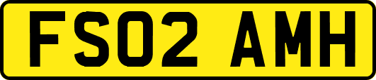 FS02AMH