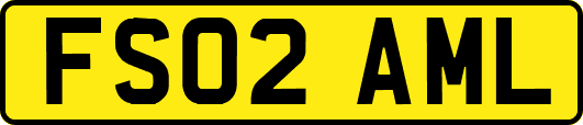FS02AML