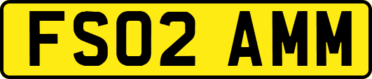 FS02AMM