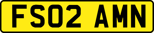 FS02AMN