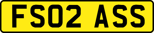FS02ASS