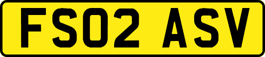 FS02ASV