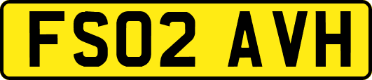 FS02AVH