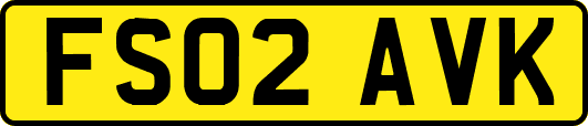 FS02AVK