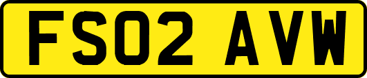 FS02AVW