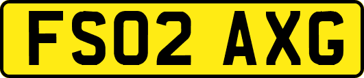 FS02AXG