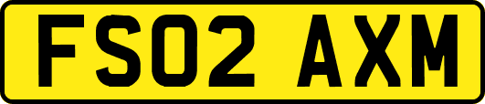 FS02AXM
