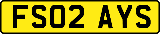 FS02AYS