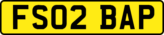 FS02BAP