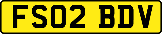 FS02BDV