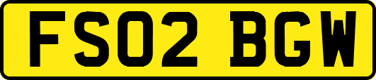 FS02BGW