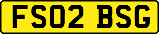 FS02BSG
