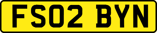 FS02BYN
