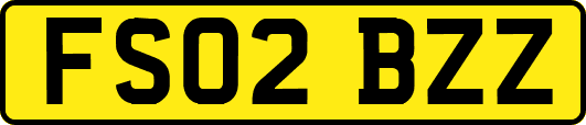 FS02BZZ