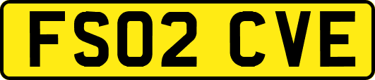FS02CVE