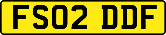 FS02DDF
