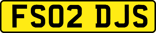 FS02DJS