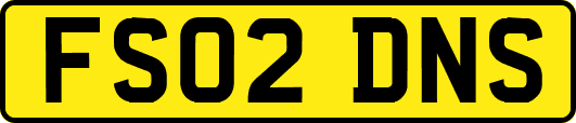 FS02DNS