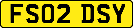 FS02DSY