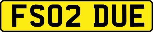 FS02DUE