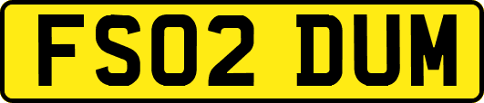 FS02DUM