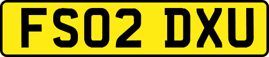 FS02DXU