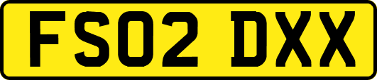 FS02DXX